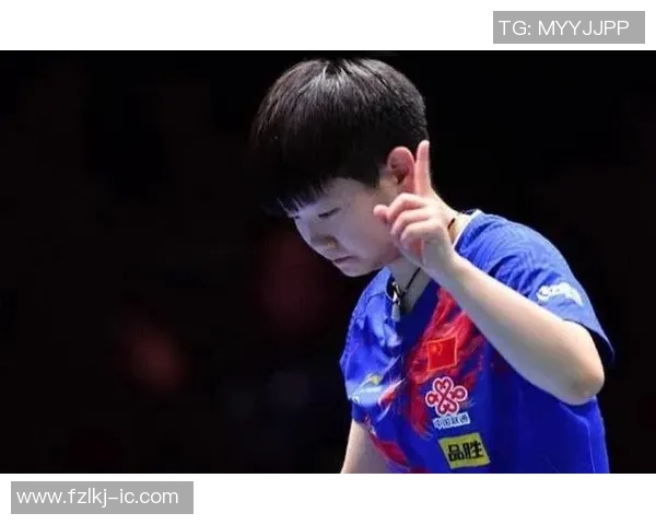 杭州排球队灵活性展现大满贯点评引发关注与期待